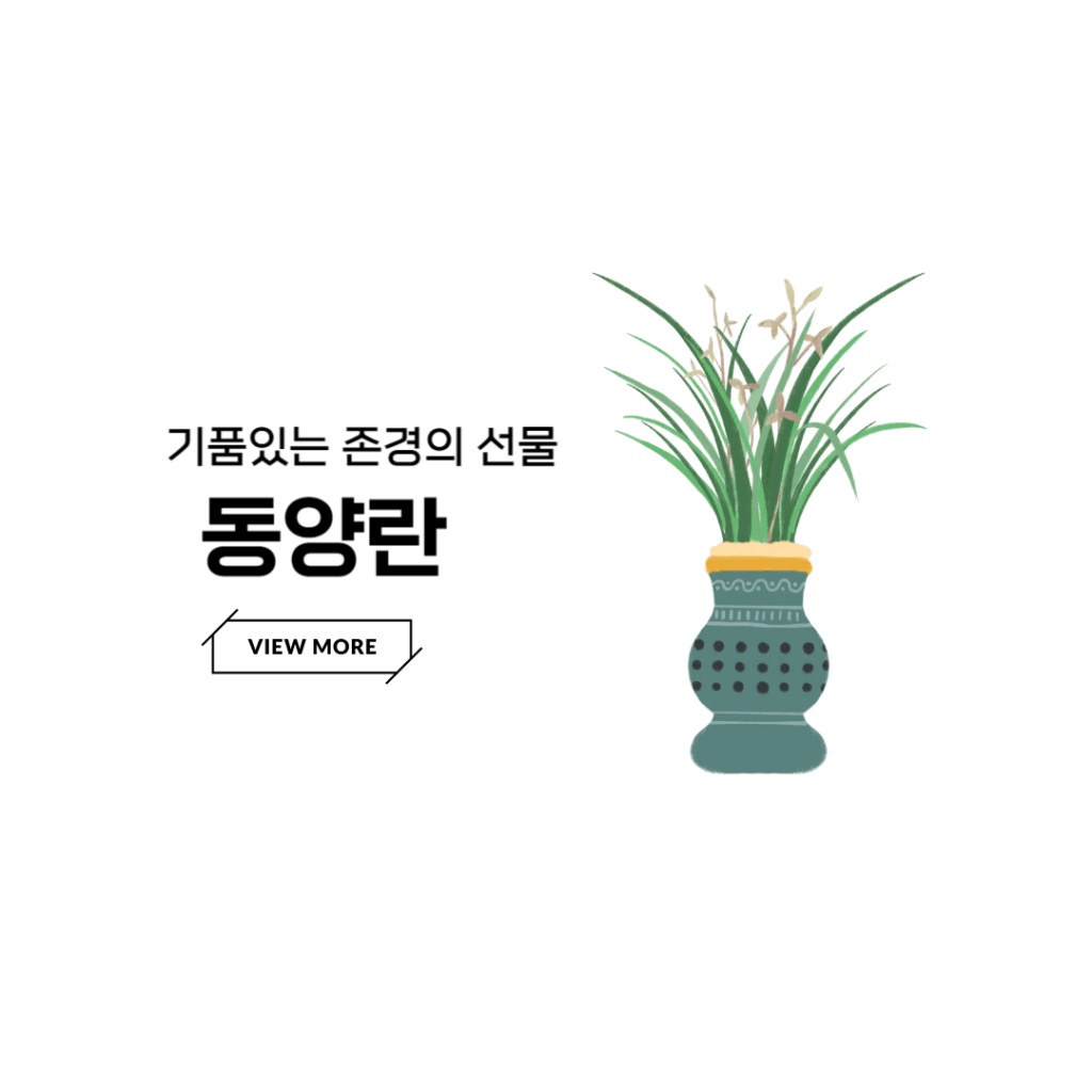 장례식화환배달