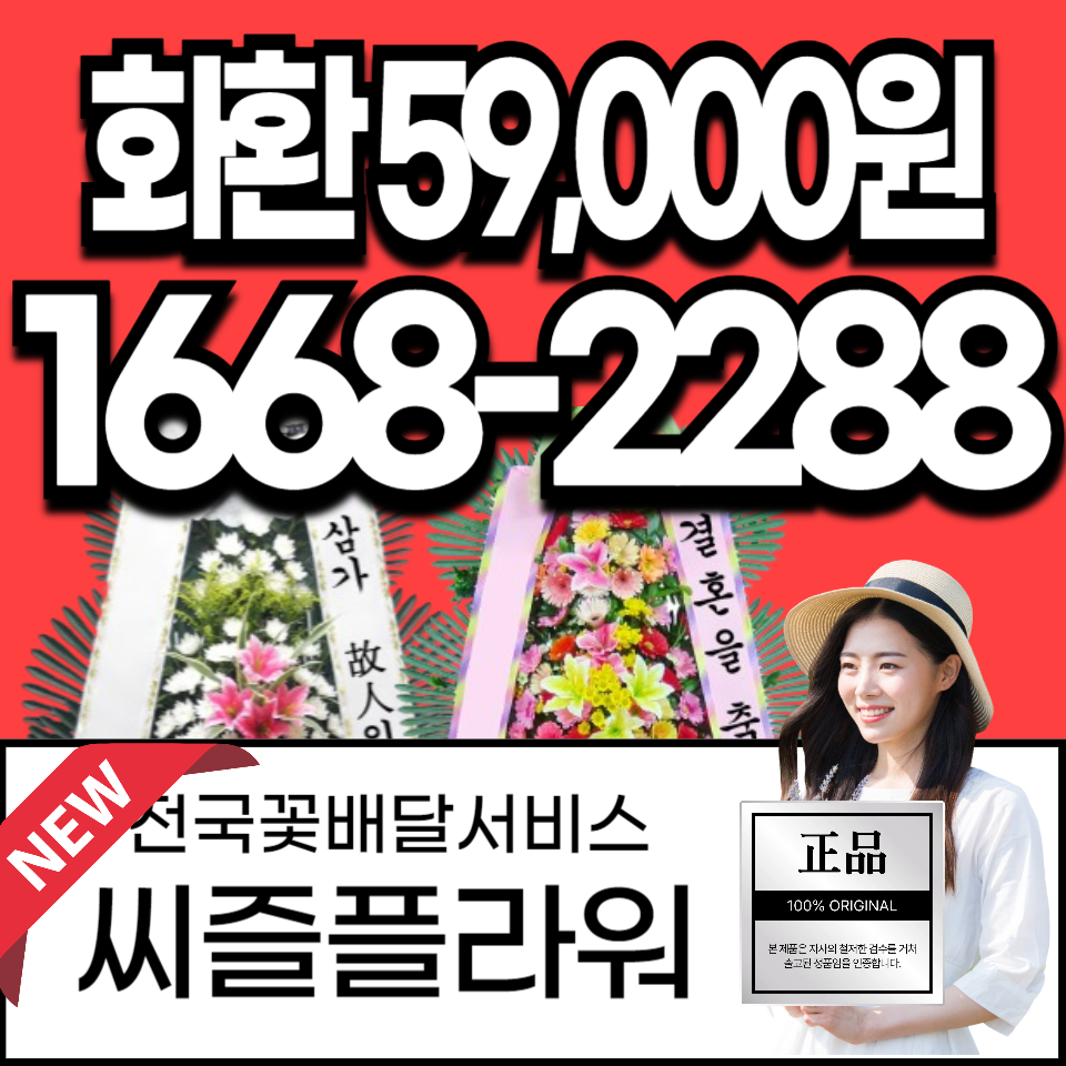 전국화환 씨즐플라워 1